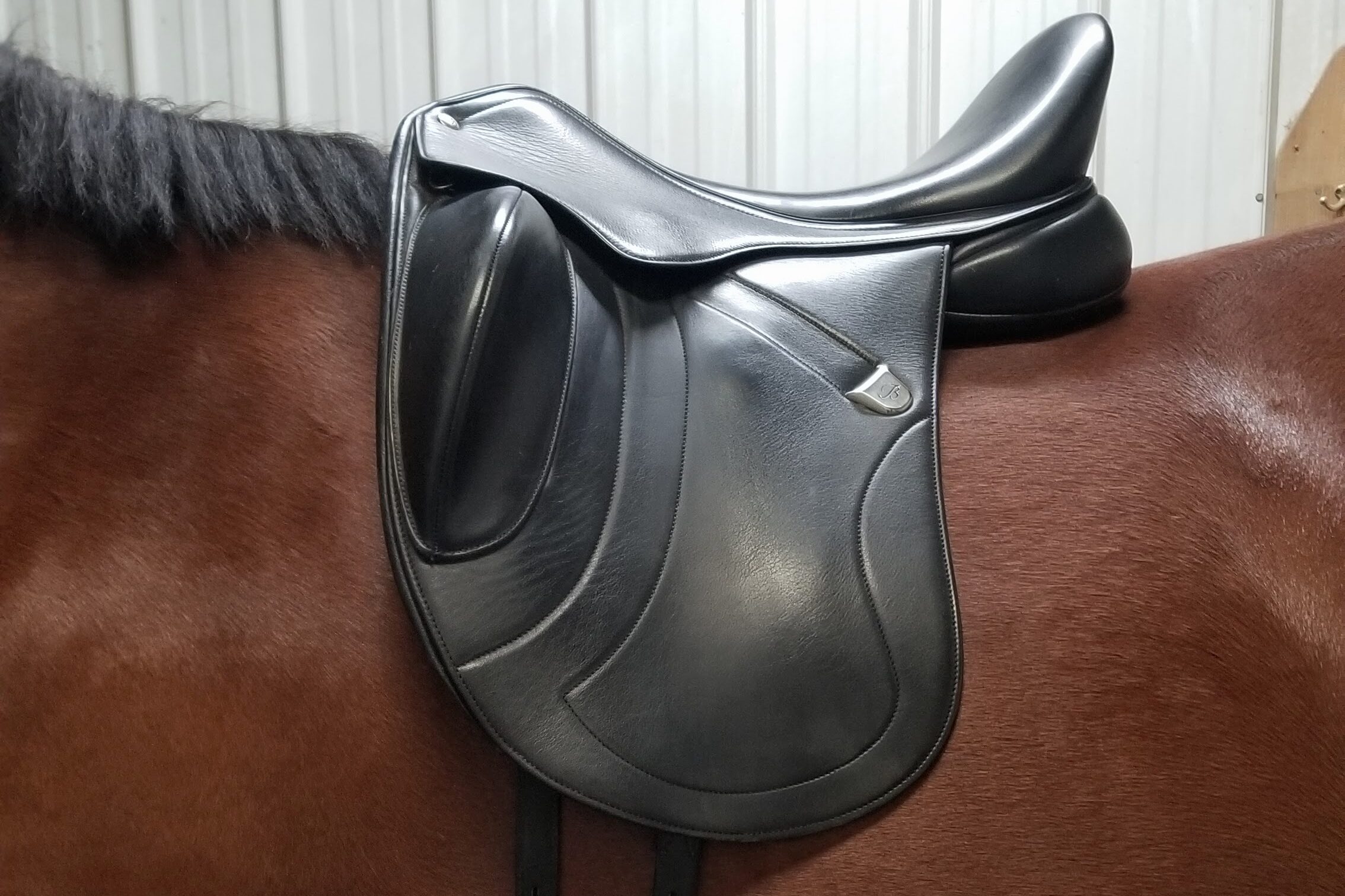 Saddle Fitting with Right Path Saddle Fitting - Equestrian Center
